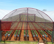 Entrega de pavimentação de estrada rural e de máquinas, caminhão e equipamentos para cooperativas de agricultura familiar, inauguração de cozinha comunitária. Estas foram algumas das ações dos secretários estaduais da Agricultura e do Abastecimento, Norberto Ortigara, e do Planejamento e Projetos Estruturantes, Valdemar Bernardo Jorge, na semana passada na região do Norte Pioneiro. - Curitiba, 08/11/2021 - Foto: SEAB