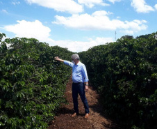 Entrega de pavimentação de estrada rural e de máquinas, caminhão e equipamentos para cooperativas de agricultura familiar, inauguração de cozinha comunitária. Estas foram algumas das ações dos secretários estaduais da Agricultura e do Abastecimento, Norberto Ortigara, e do Planejamento e Projetos Estruturantes, Valdemar Bernardo Jorge, na semana passada na região do Norte Pioneiro. - Curitiba, 08/11/2021 - Foto: SEAB