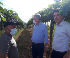Entrega de pavimentação de estrada rural e de máquinas, caminhão e equipamentos para cooperativas de agricultura familiar, inauguração de cozinha comunitária. Estas foram algumas das ações dos secretários estaduais da Agricultura e do Abastecimento, Norberto Ortigara, e do Planejamento e Projetos Estruturantes, Valdemar Bernardo Jorge, na semana passada na região do Norte Pioneiro. - Curitiba, 08/11/2021 - Foto: SEAB