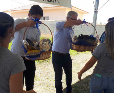 Entrega de pavimentação de estrada rural e de máquinas, caminhão e equipamentos para cooperativas de agricultura familiar, inauguração de cozinha comunitária. Estas foram algumas das ações dos secretários estaduais da Agricultura e do Abastecimento, Norberto Ortigara, e do Planejamento e Projetos Estruturantes, Valdemar Bernardo Jorge, na semana passada na região do Norte Pioneiro. - Curitiba, 08/11/2021 - Foto: SEAB
