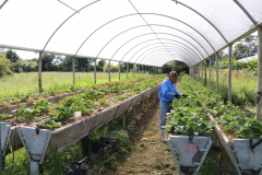 Tecpar capacita municípios do Litoral sobre certificação de orgânicos