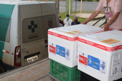 Sesa abastece Regionais com 820 mil vacinas contra a Covid-19 e 754 mil unidades de Tamiflu