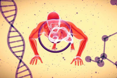 Laboratório de Fisiopatologia promove Simpósio Brasileiro de Biologia Muscular