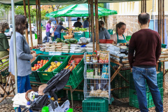 Paraná ganha a partir desta sexta-feira mapa estadual de feiras orgânicas e agroecológicas