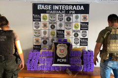 PCPR apreende 145 quilos de maconha e prende homem em Santo Inácio