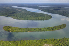  Com novas ferramentas, Paraná amplia ações para frear mudanças climáticas