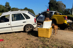Polícia Militar apreende mais de 700 quilos de drogas em ocorrências distintas
