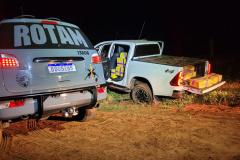 Policiais Militares apreendem 940 quilos de maconha em área rural de Querência do Norte