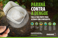 Campanha dengue