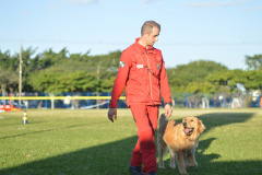 BOMBEIROS CÃES EM DESASTRES