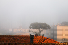 NEBLINA QUE BAIXA, SOL QUE RACHA? SIMEPAR EXPLICA COMO SE FORMAM OS NEVOEIROS