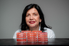 A engenheira agrônoma e pesquisadora do Novo Arranjo de Pesquisa e Inovação (NAPI) Taxonline, da Fundação Araucária, Mariangela Hungria, foi agraciada nesta terça-feira (12) com o Prêmio Mundial da Alimentação de 2025, o World Food Prize