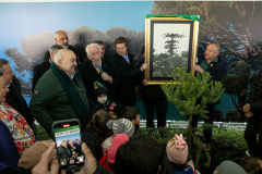 PLANTIO DE ARAUCARIA VICE