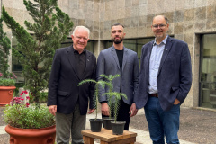 INOVAÇÃO - Bonsai de Araucária na Fundação Araucária