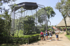 SETU - PESQUISA