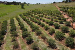 Fomento Paraná abre nova chamada pública para selecionar projetos de FIDCs do Agro