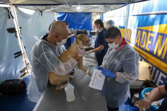  5º ciclo do CastraPet Paraná: Estado vai ampliar o número de cães e gatos imunizados contra a raiva