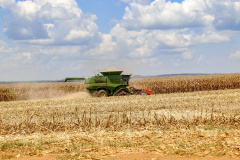 SEFA - Adesão obrigatória da nota fiscal eletrônica do produtor rural é adiada para 2026