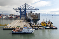 Portos - Navio-Escola atraca no Porto de Paranaguá e oferece experiência prática a universitários