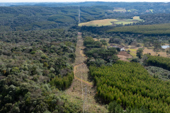 COPEL - Propriedade rural cumpre a Lei Estadual da Faixa Limpa com solução rentável e sem danos à rede elétrica