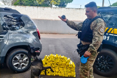 K9 “Glock”, da Polícia Penal, fareja e encontra 81 kg de maconha durante ação conjunta com a PRF em Maringá