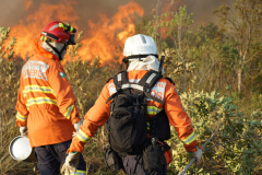 Dias secos e de sol aumentam risco de incêndios causados por balões no Paraná
