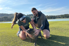 Corrida da PCPR irá reverter lucro em rações que serão doadas para organizações que recebem animais resgatados