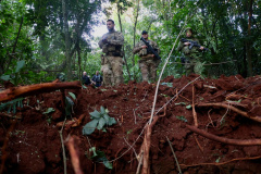 Operação Sinergia II termina com 12,4 toneladas de drogas apreendidas e 271 presas
