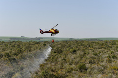 IAT promoveu a restauração ambiental do Parque Estadual do Cerrado, em Jaguariaíva, por meio da queima controlada