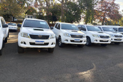 Novo leilão de 76 veículos do Estado não terá taxa do leiloeiro; lote tem Hilux e Triton Sport