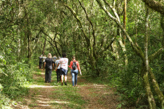 SETU - Caminhos do Peabiru