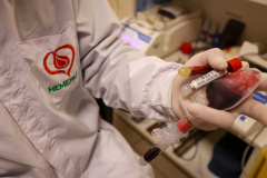 Hemepar solicita doações de sangue dos tipos O- e O+ com urgência