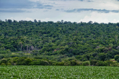 Ranking Sustentabilidade