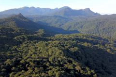 MATA ATLÂNTICA