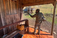 Vigilância ativa e integração entre Estado e municípios fortalecem combate à doença de Chagas no Paraná