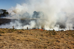  Fogo em terrenos baldios pode causar incêndios de grandes proporções