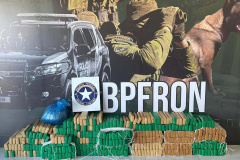 PMPR apreende mais de 900 quilos de maconha e causa prejuízo de R$ 1,9 milhão ao crime organizado