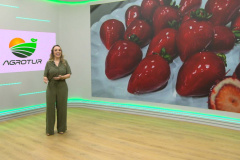 AgroTur estreia de cara nova na TV Paraná Turismo nesta terça-feira