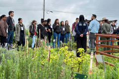 Cascavel tem evento de agroecologia com foco no inverno