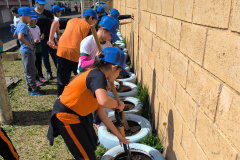 Sanepar ensina a cultivar hortas comunitárias