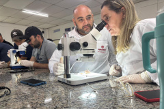 SESA - Profissionais de saúde do Norte Pioneiro recebem capacitação sobre acidentes com animais peçonhentos