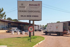 Ceasa de Cascavel recebe caminhão para o programa Banco de Alimentos – Comida Boa