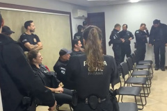 Missão Paraná II: PCPR deflagra operação contra grupo que usava cartões clonados para comprar carros