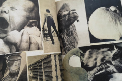 Cadernos de artista em foco: palestra com o pesquisador italiano Simone  Rossi no MUPA
