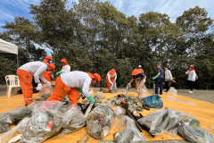 PORTOS - Mutirões retiram quase duas toneladas de resíduos em manguezais de Paranaguá e Antonina