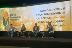Milho: produzir mais é desafio para a pesquisa e a extensão rural