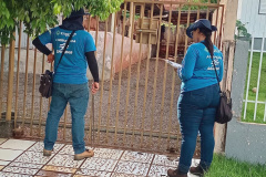Nova rede de esgoto em Campina da Lagoa: Sanepar inicia orientações domiciliares