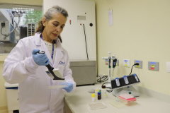 Alimentação escolar: controle rigoroso garante cardápios nutritivos e saudáveis nas escolas do Paraná