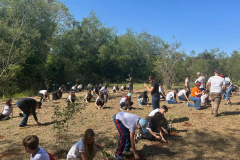 Ação de educação ambiental organizada pelo IAT estimula a troca de roupas infantis e brinquedos novos ou em bom estado por mudas de espécies nativas