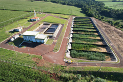 Sanepar aumenta eficiência do sistema de tratamento de esgoto com inspiração em ecossistemas naturais